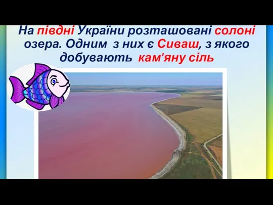 На півдні України розташовані солоні озера. Одним з них є Сиваш, з якого добувають кам'яну сіль