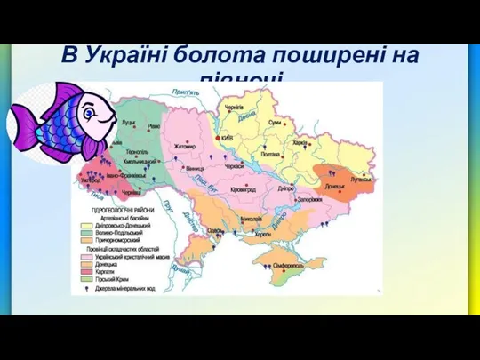 В Україні болота поширені на півночі