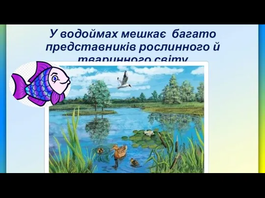 У водоймах мешкає багато представників рослинного й тваринного світу