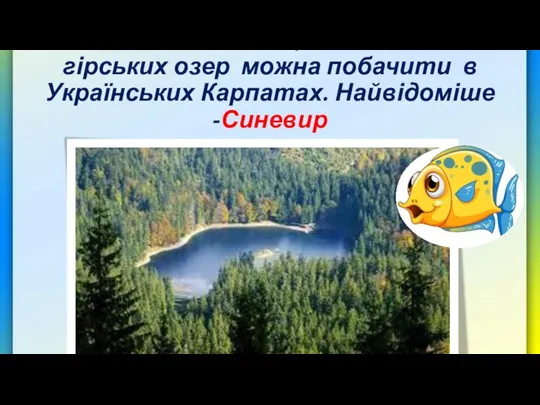 Чимало невеликих, але глибоких гірських озер можна побачити в Українських Карпатах. Найвідоміше -Синевир