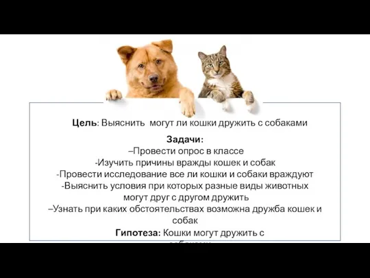 Цель: Выяснить могут ли кошки дружить с собаками Задачи: –Провести опрос в