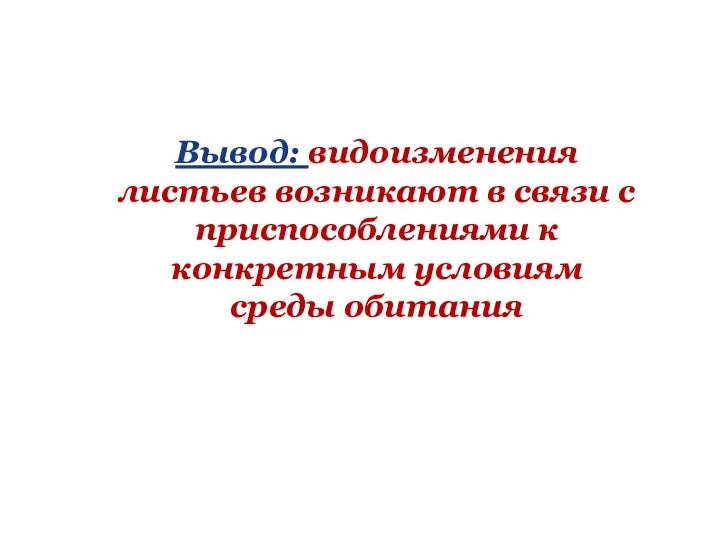 Вывод: видоизменения листьев возникают в связи с приспособлениями к конкретным условиям среды обитания