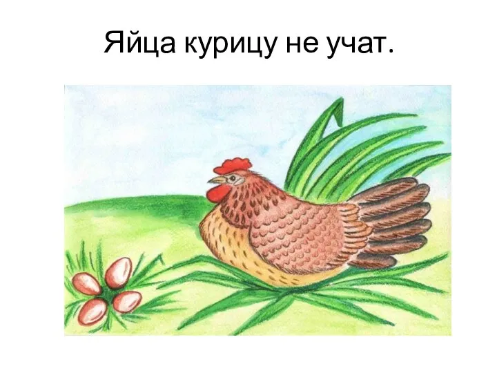 Яйца курицу не учат.