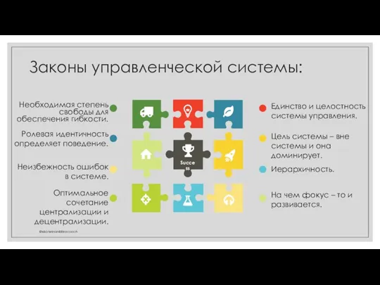 Единство и целостность системы управления. Цель системы – вне системы и она