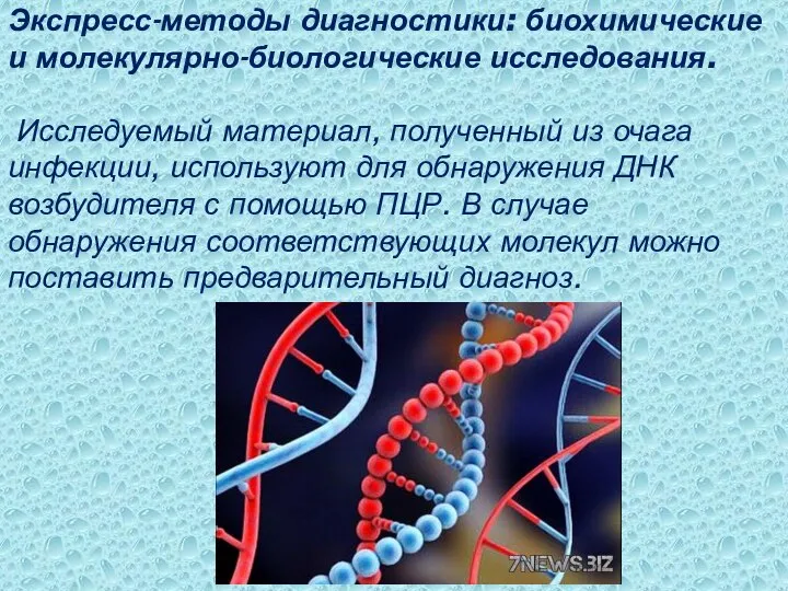 Экспресс-методы диагностики: биохимические и молекулярно-биологические исследования. Исследуемый материал, полученный из очага инфекции,