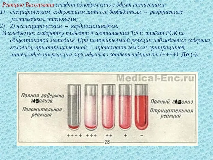 Реакцию Вассермана ставят одновременно с двумя антигенами: специфическим, содержащим антиген возбудителя —