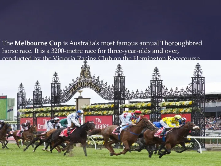 The Melbourne Cup is Australia's most famous annual Thoroughbred horse race. It