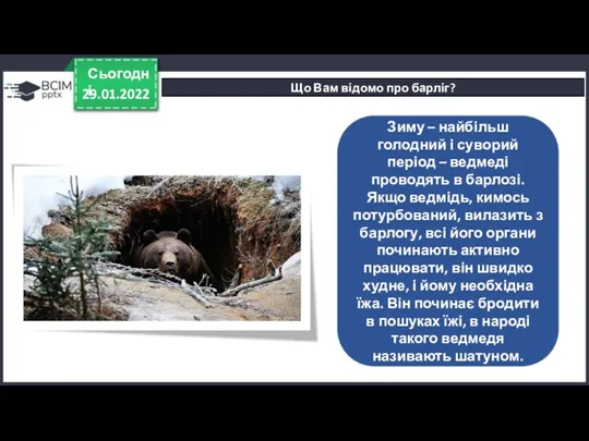 29.01.2022 Сьогодні Що Вам відомо про барліг? Зиму – найбільш голодний і