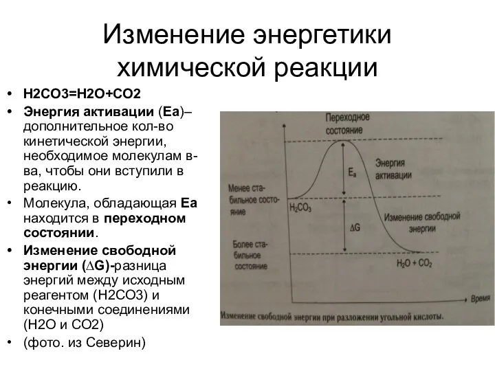 Изменение энергетики химической реакции Н2СО3=Н2О+СО2 Энергия активации (Еа)– дополнительное кол-во кинетической энергии,