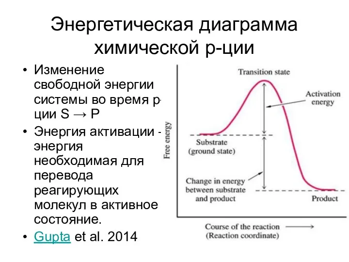 Энергетическая диаграмма химической р-ции Изменение свободной энергии системы во время р-ции S