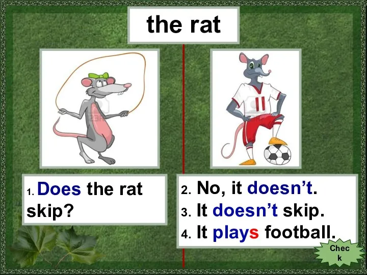 the rat 1. Does the rat skip? 2. No, it doesn’t. 3.