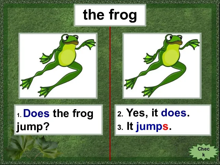 the frog 1. Does the frog jump? 2. Yes, it does. 3. It jumps. Check