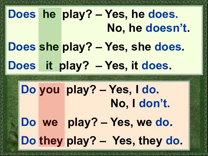 Does he play? – Yes, he does. No, he doesn’t. Does she