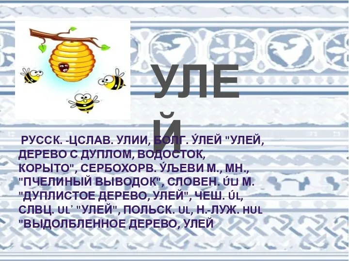 УЛЕЙ РУССК. -ЦСЛАВ. УЛИИ, БОЛГ. У́ЛЕЙ "УЛЕЙ, ДЕРЕВО С ДУПЛОМ, ВОДОСТОК, КОРЫТО",