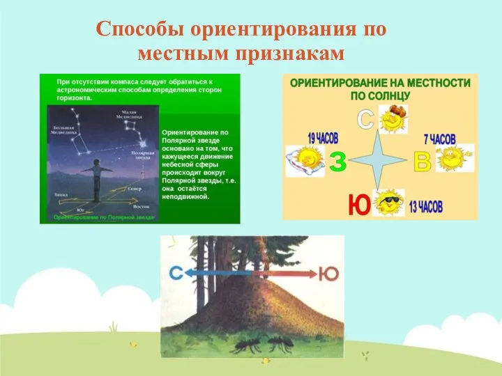 Способы ориентирования по местным признакам