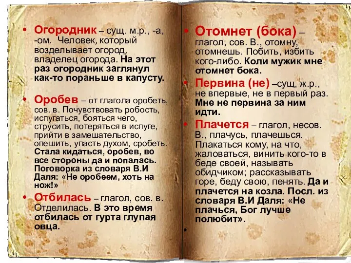 Огородник – сущ. м.р., -а, -ом. Человек, который возделывает огород, владелец огорода.