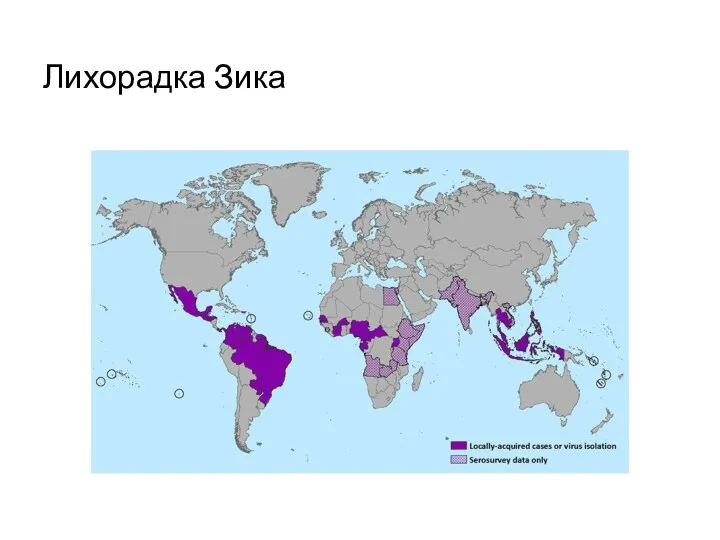 Лихорадка Зика