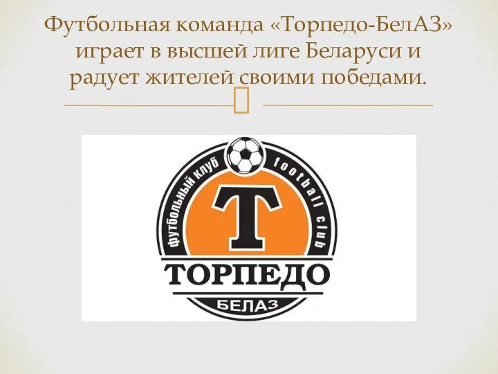 Футбольная команда «Торпедо-БелАЗ» играет в высшей лиге Беларуси и радует жителей своими победами.