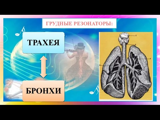 ГРУДНЫЕ РЕЗОНАТОРЫ: