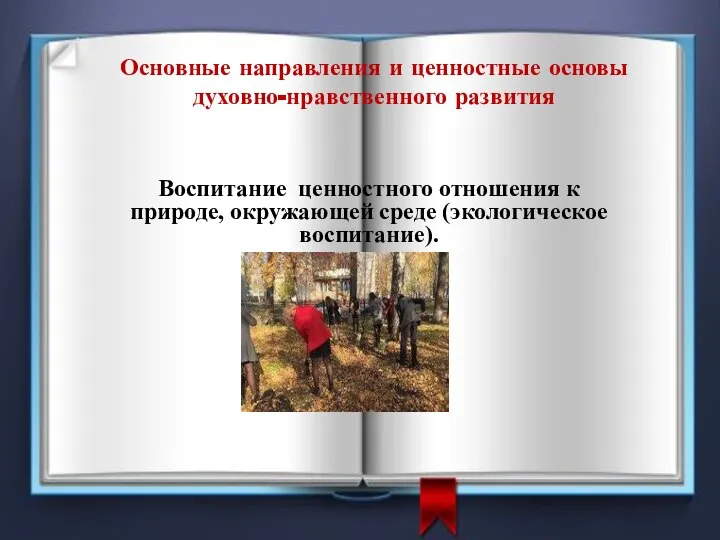 Основные направления и ценностные основы духовно-нравственного развития Воспитание ценностного отношения к природе, окружающей среде (экологическое воспитание).