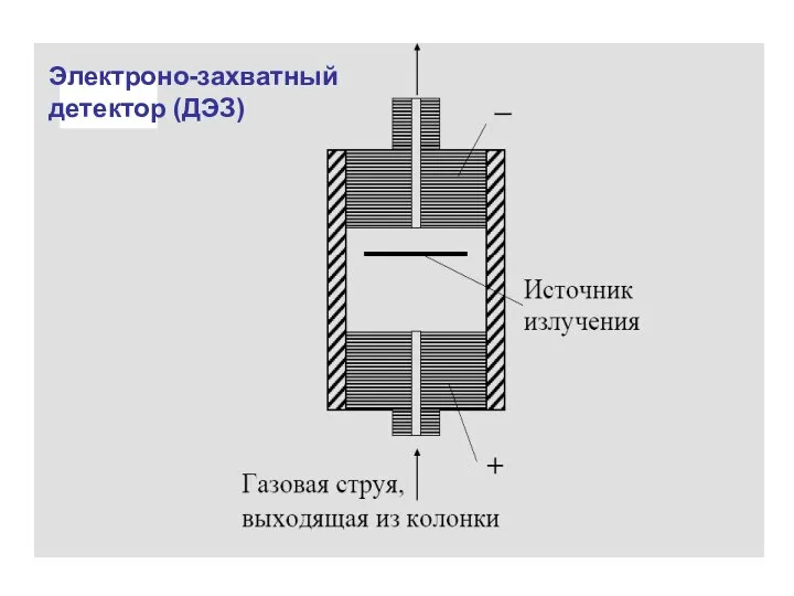 Электроно-захватный детектор (ДЭЗ)