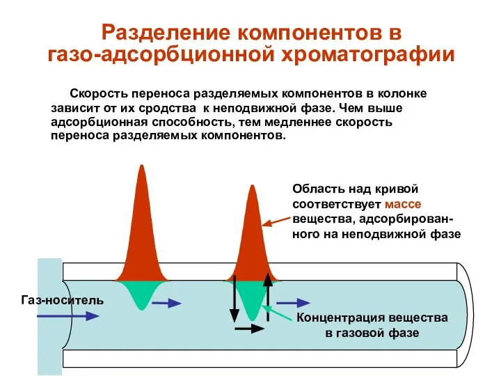 Скорость переноса разделяемых компонентов в колонке зависит от их сродства к неподвижной