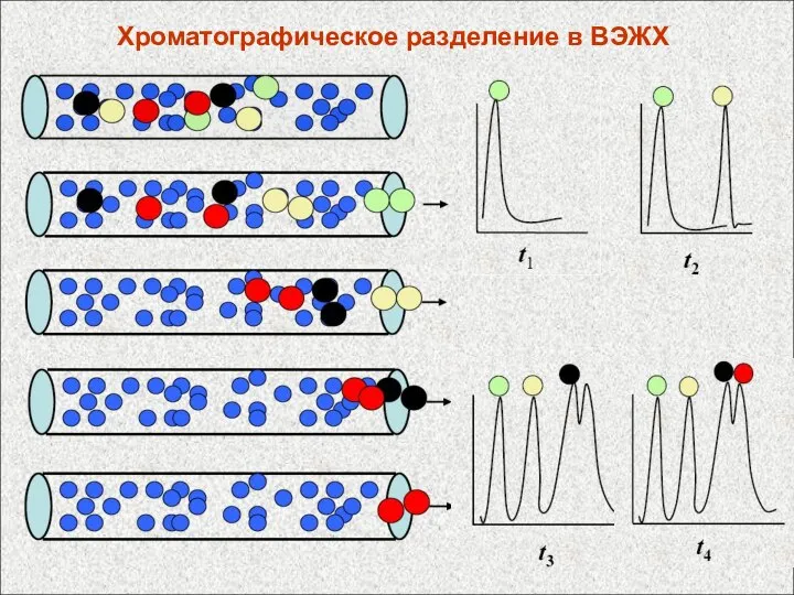 Хроматографическое разделение в ВЭЖХ