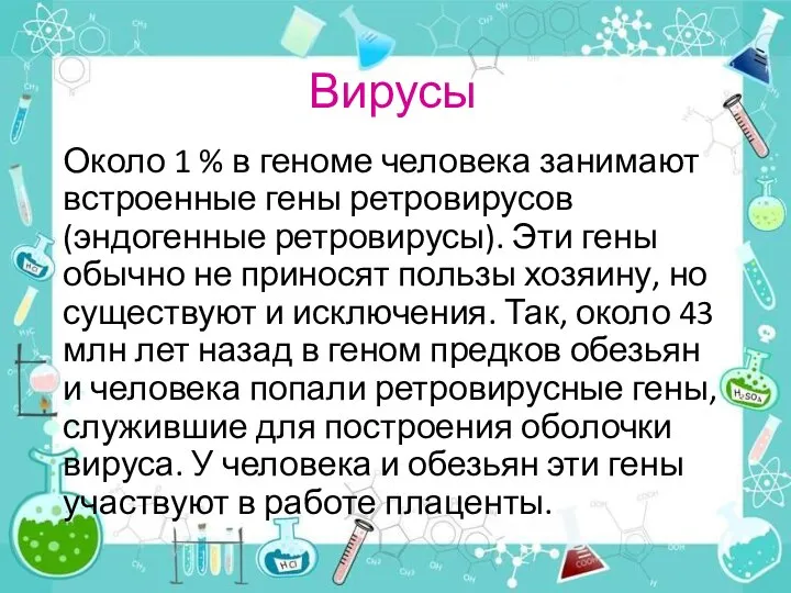 Вирусы Около 1 % в геноме человека занимают встроенные гены ретровирусов (эндогенные