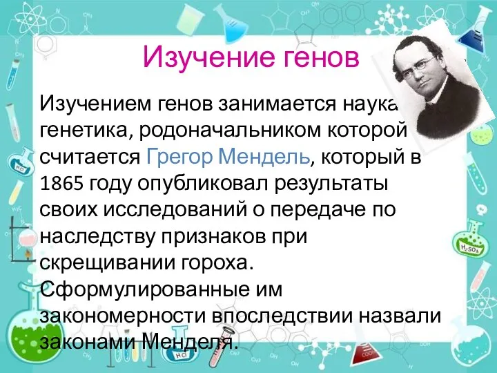 Изучение генов Изучением генов занимается наука генетика, родоначальником которой считается Грегор Мендель,