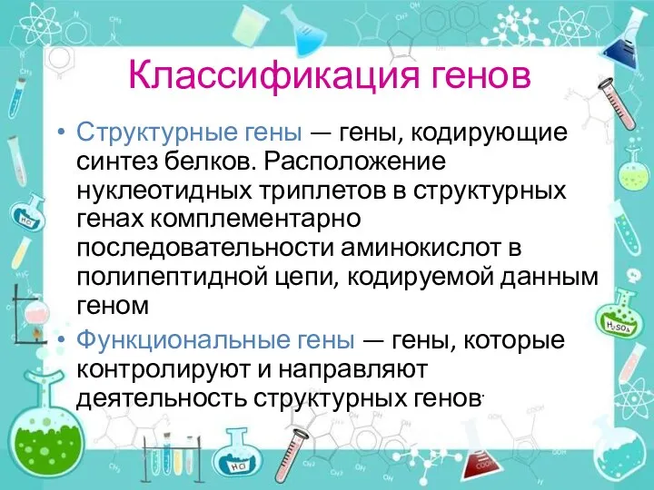 Классификация генов Структурные гены — гены, кодирующие синтез белков. Расположение нуклеотидных триплетов