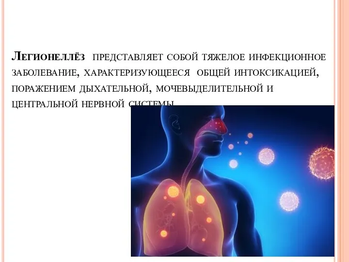 Легионеллёз представляет собой тяжелое инфекционное заболевание, характеризующееся общей интоксикацией, поражением дыхательной, мочевыделительной и центральной нервной системы.