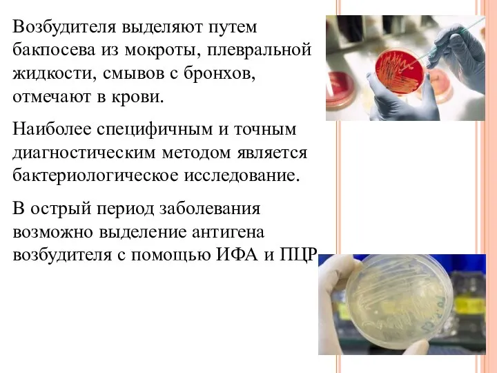 Возбудителя выделяют путем бакпосева из мокроты, плевральной жидкости, смывов с бронхов, отмечают