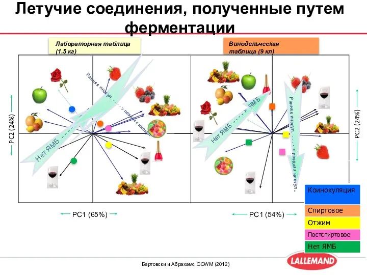 Лабораторная таблица (1.5 кг) Винодельческая таблица (9 кл) Летучие соединения, полученные путем