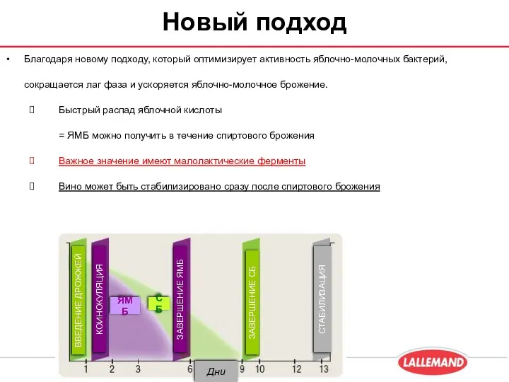 Благодаря новому подходу, который оптимизирует активность яблочно-молочных бактерий, сокращается лаг фаза и