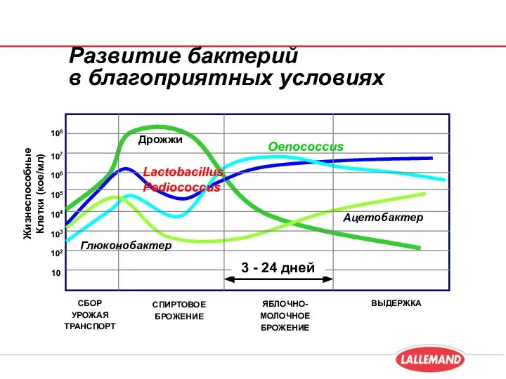 Развитие бактерий в благоприятных условиях 107 105 104 103 102 106 10