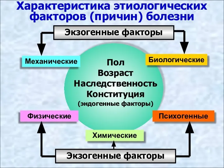 Характеристика этиологических факторов (причин) болезни Пол Возраст Наследственность Конституция (эндогенные факторы) Экзогенные