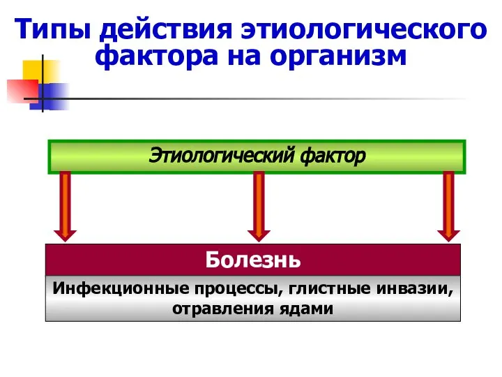 Типы действия этиологического фактора на организм Болезнь Этиологический фактор Инфекционные процессы, глистные инвазии, отравления ядами