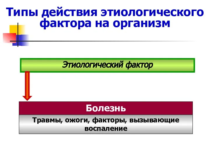 Типы действия этиологического фактора на организм Болезнь Этиологический фактор Травмы, ожоги, факторы, вызывающие воспаление