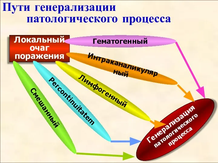 Пути генерализации патологического процесса Локальный очаг поражения Гематогенный Интраканаликулярный Лимфогенный Рercontinuitatem Смешанный Генерализация патологического процесса