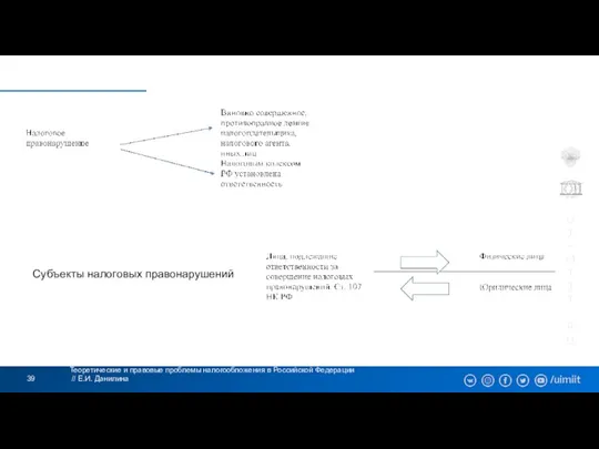 Теоретические и правовые проблемы налогообложения в Российской Федерации // Е.И. Данилина Субъекты налоговых правонарушений