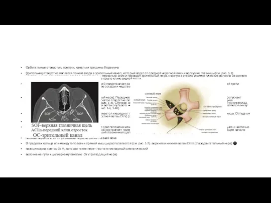 Орбитальные отверстия, протоки, каналы и трещины Форамина Зрительное отверстие является точкой входа