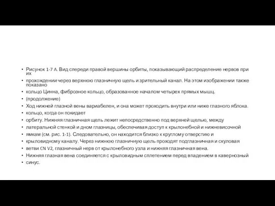 Рисунок 1-7 A. Вид спереди правой вершины орбиты, показывающий распределение нервов при