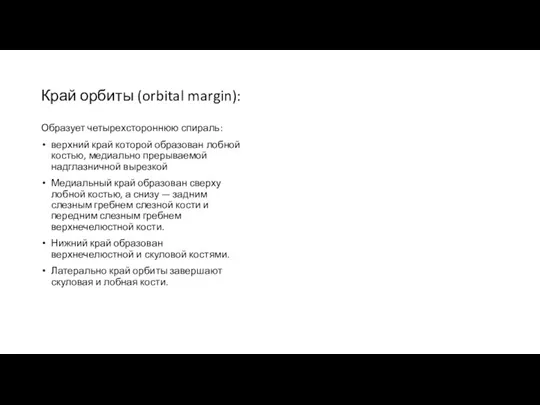 Край орбиты (orbital margin): Образует четырехстороннюю спираль: верхний край которой образован лобной