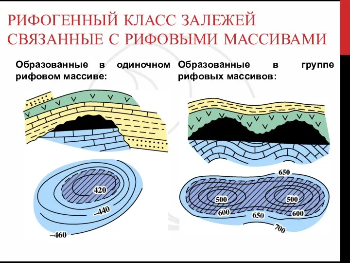 РИФОГЕННЫЙ КЛАСС ЗАЛЕЖЕЙ СВЯЗАННЫЕ С РИФОВЫМИ МАССИВАМИ Образованные в одиночном рифовом массиве: