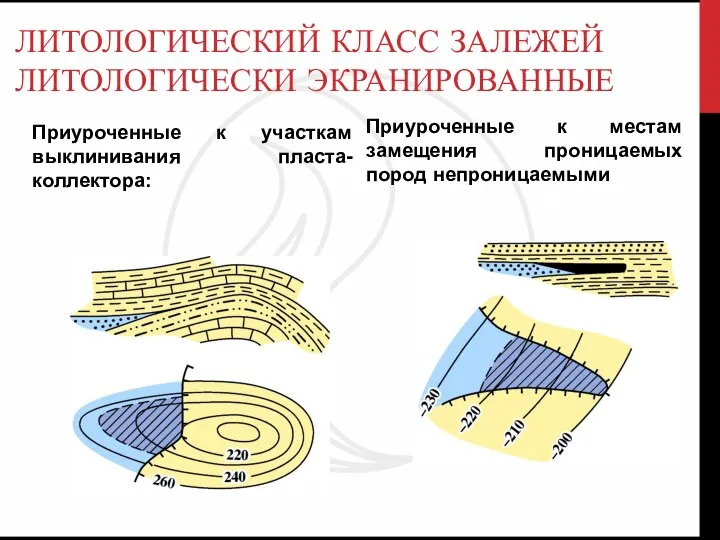 ЛИТОЛОГИЧЕСКИЙ КЛАСС ЗАЛЕЖЕЙ ЛИТОЛОГИЧЕСКИ ЭКРАНИРОВАННЫЕ Приуроченные к участкам выклинивания пласта-коллектора: Приуроченные к