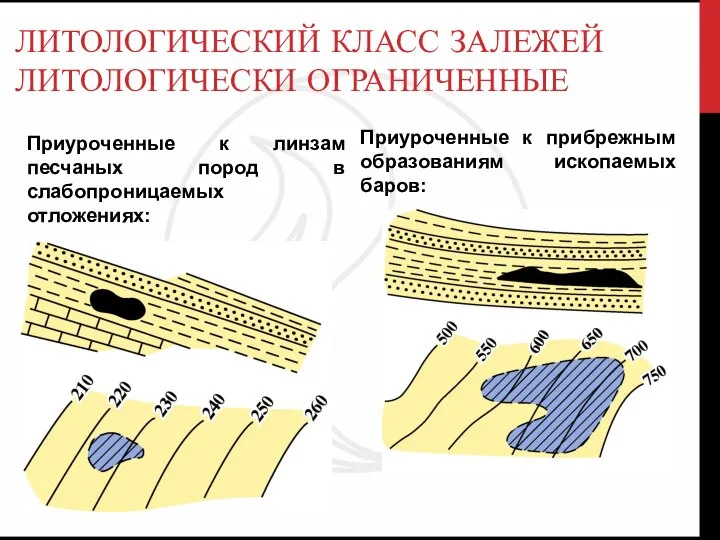 ЛИТОЛОГИЧЕСКИЙ КЛАСС ЗАЛЕЖЕЙ ЛИТОЛОГИЧЕСКИ ОГРАНИЧЕННЫЕ Приуроченные к линзам песчаных пород в слабопроницаемых