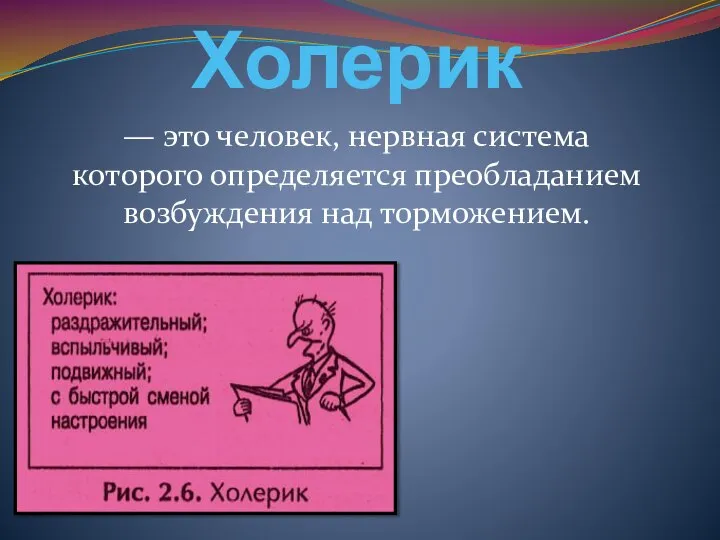 Холерик — это человек, нервная система которого определяется преобладанием возбуждения над торможением.