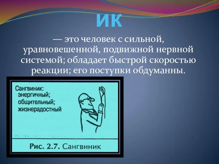 Сангвиник — это человек с сильной, уравновешенной, подвижной нервной системой; обладает быстрой