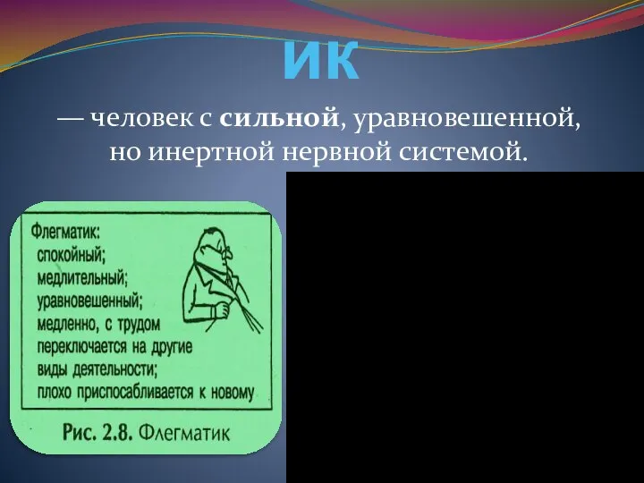 Флегматик — человек с сильной, уравновешенной, но инертной нервной системой.