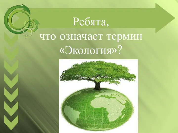 Ребята, что означает термин «Экология»?